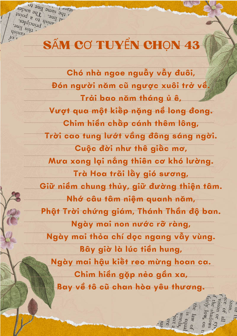 Sấm cơ